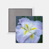 Iris Magnet (Voorkant / Achterkant)