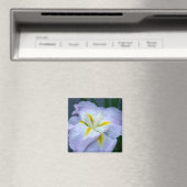 Iris Magnet (Insitu (Vaatwasser))
