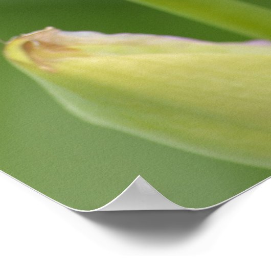 Iris met Citaat Poster (Hoek)