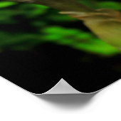 Iris met dauw poster (Hoek)