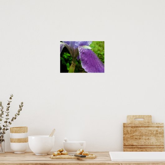 Iris met dauw poster (Keuken)