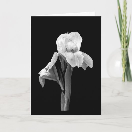 'Iris met regendruppels' lege wenskaart Kaart (Voorkant)