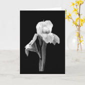 'Iris met regendruppels' lege wenskaart Kaart (Gele Bloem)