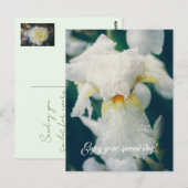 Iris met waterdruppeltjes briefkaart (Voorkant / Achterkant)