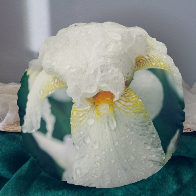 Iris met waterdruppeltjes rond kussen (Creator heeft geüpload)