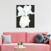 Iris met witte baard op zwarte achtergrond Canvasp Canvas Afdruk (Insitu (Woonkamer))