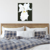 Iris met witte baard op zwarte achtergrond Canvasp Canvas Afdruk (Insitu (Slaapkamer))