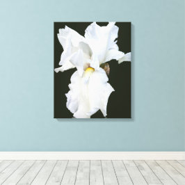 Iris met witte baard op zwarte achtergrond Canvasp Canvas Afdruk