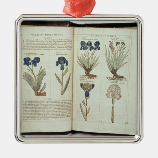 Iris Metalen Ornament (Voorkant)