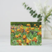 Iris "Michigan Pride" (Briefkaart) ポ カ ー ド Briefkaart (Staand voorkant)