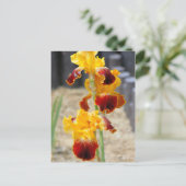 Iris "Michigan Pride":Briefkaart Briefkaart (Staand voorkant)