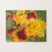 Iris ‘Michigan Pride’ [Legpuzzel: 252P] Legpuzzel (Horizontaal)