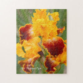Iris ‘Michigan Pride’ [Legpuzzel: 252P] Legpuzzel
