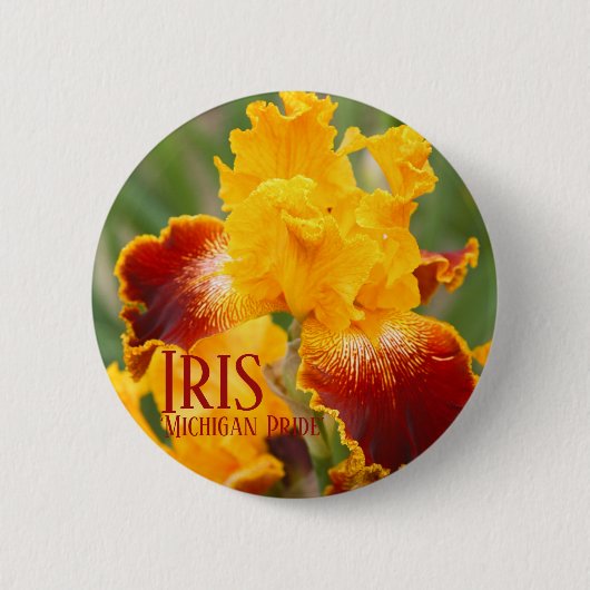 Iris "Michigan Pride" Ronde Button 5,7 Cm (Voorkant)
