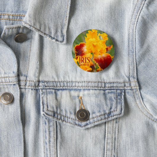 Iris "Michigan Pride" Ronde Button 5,7 Cm (In situ)