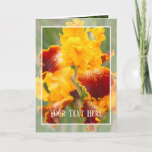 Iris "Michigan Pride" (Wenskaart) カ ー ド