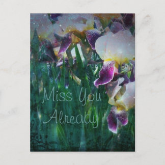 Iris Miss You Reready Briefkaart