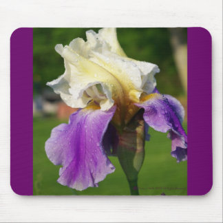 Iris Mousepad Muismat