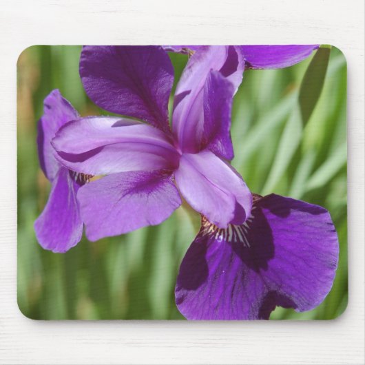 Iris Mousepad Muismat (Voorkant)