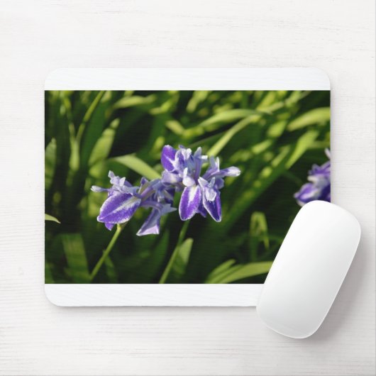 Iris Mousepad Muismat (Met muis)