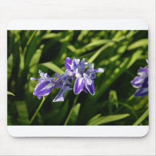 Iris Mousepad Muismat