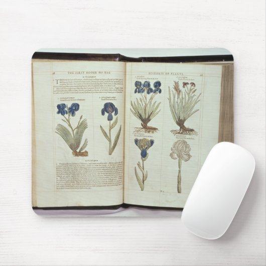 Iris Muismat (Met muis)