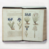 Iris Muismat (Voorkant)