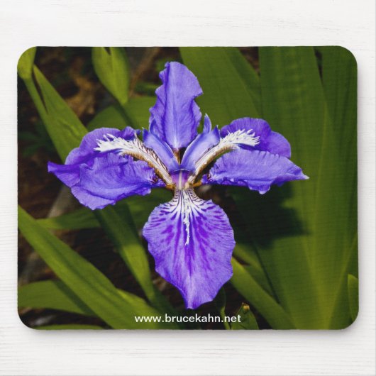 Iris Muismat (Voorkant)
