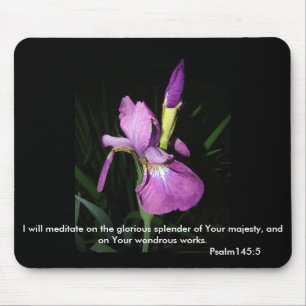 IRIS MUISMAT