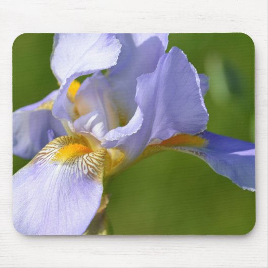 Iris Muismat (Voorkant)
