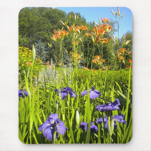 Iris N Daylilies garden Mousepad Muismat (Voorkant)