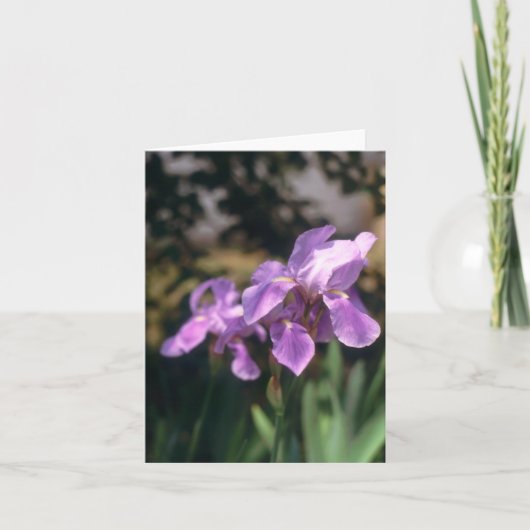 Iris Notecard Kaart (Voorkant)