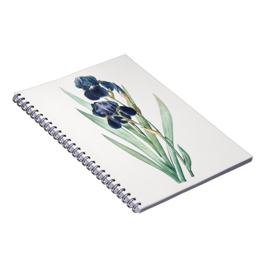 Iris Notitieboek (Rechterzijde)