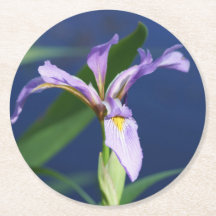 Iris Onderzetters verpakking van 6