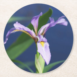 Iris Onderzetters verpakking van 6