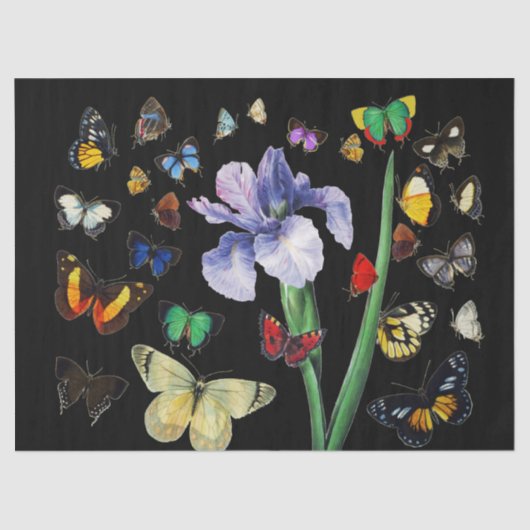IRIS ONG COLORFUL BUTTERFLIES Black Floral Tissuepapier (Voorkant)