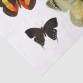 IRIS ONG COLORFUL BUTTERFLIES White Floral Tissuepapier (Detail)