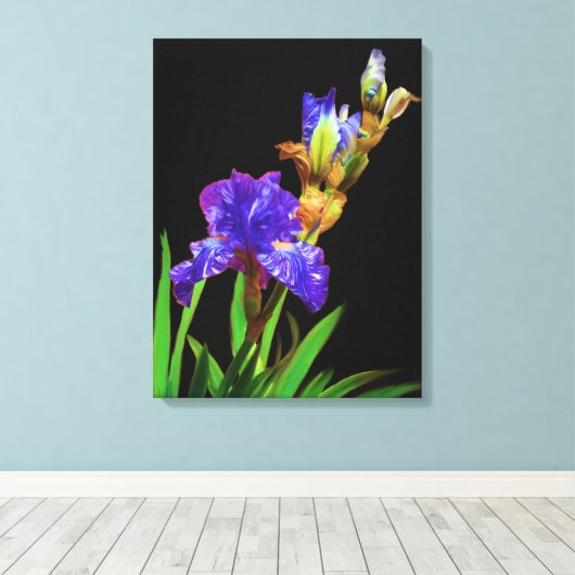 Iris op zwart glad canvas afdruk (Insitu (Houten vloer))