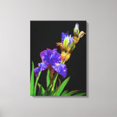 Iris op zwart glad canvas afdruk (Voorkant)