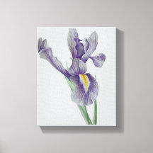 Iris opgerekt canvasprint