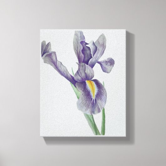 Iris opgerekt canvasprint canvas afdruk (Voorkant)