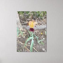 Iris-opgespannen canvasprint canvas afdruk