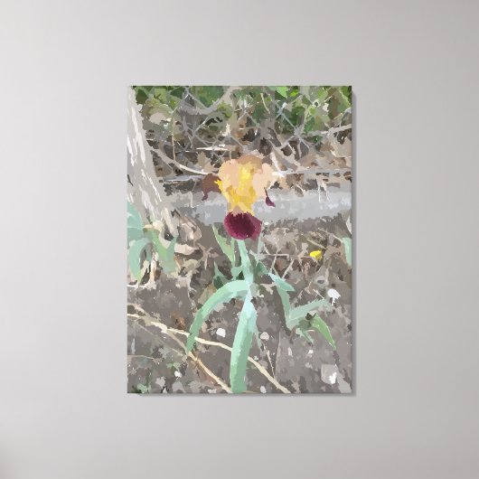 Iris-opgespannen canvasprint canvas afdruk (Voorkant)