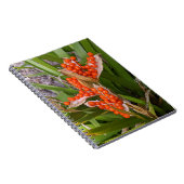 Iris Oranje zaaddoekjes foto Notitieboek (Rechterzijde)