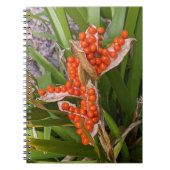 Iris Oranje zaaddoekjes foto Notitieboek (Voorkant)