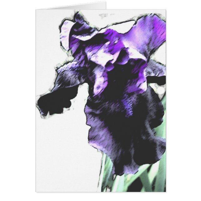 Iris, paars (Voorkant)