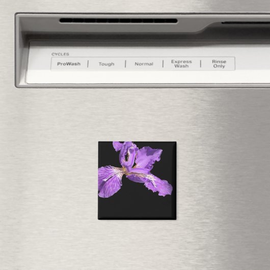Iris Paars Magneet (Insitu (Vaatwasser))