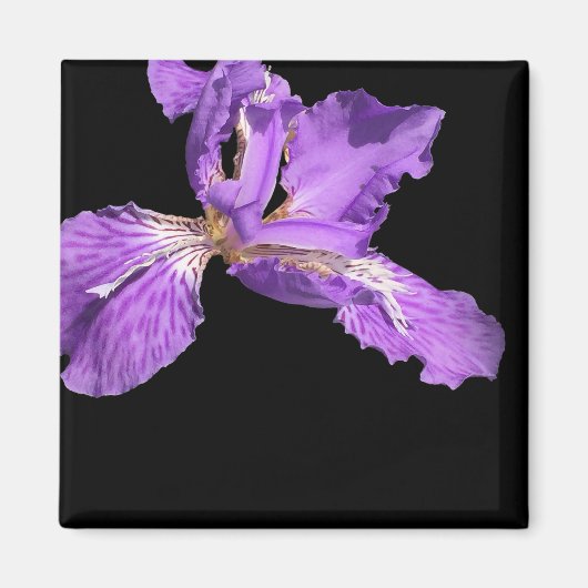 Iris Paars Magneet (Voorkant)