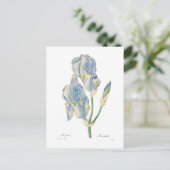 Iris pallida briefkaart (Staand voorkant)