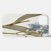 Iris Pallida, from Les Liliaces', 1812 Case-Mate iPhone Case (Achterkant (horizontaal))